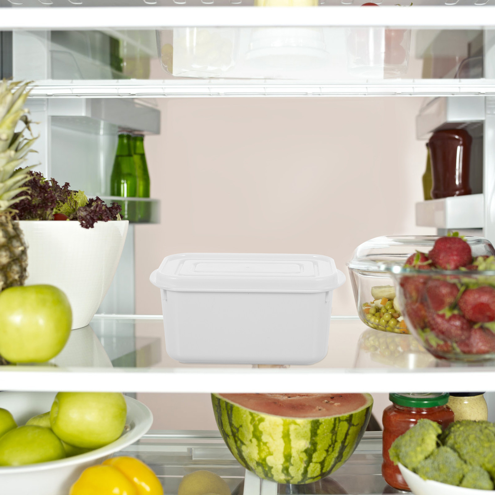Food Storage For Restaurant - 2 Contenitori per Alimenti con Coperchio