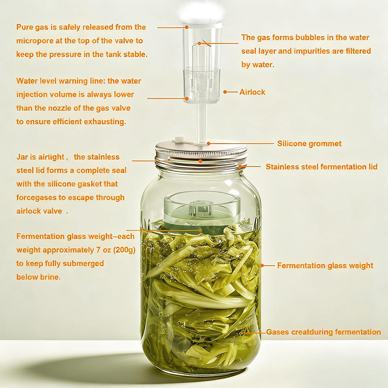 Mason Jar Wide Mouth - Kit di Fermentazione, Barattoli Mason a