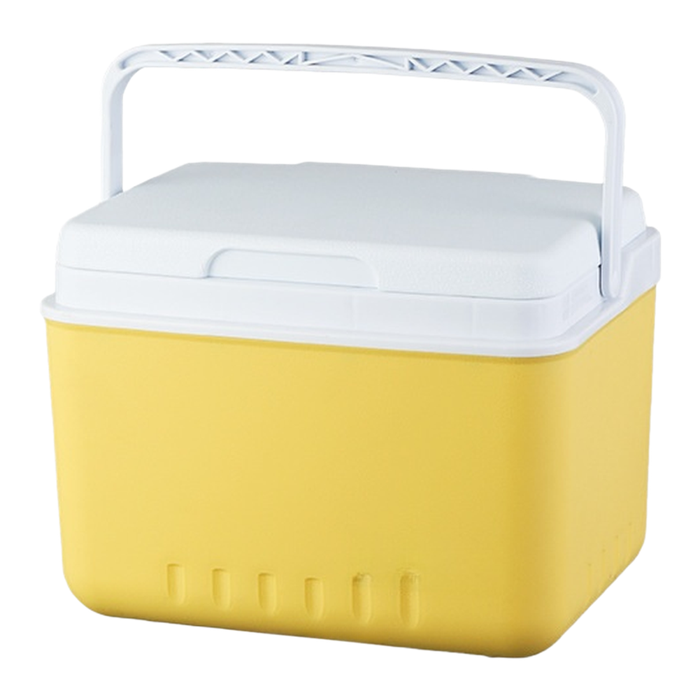 Borsa Termica Portatile 6L 15L - Food Storage In Cooler recensione e prezzo