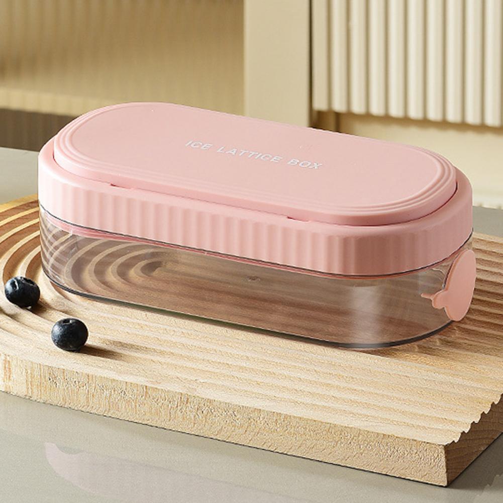 Stampo per Ghiaccio Alimentare - Food Storage Types recensione e prezzo