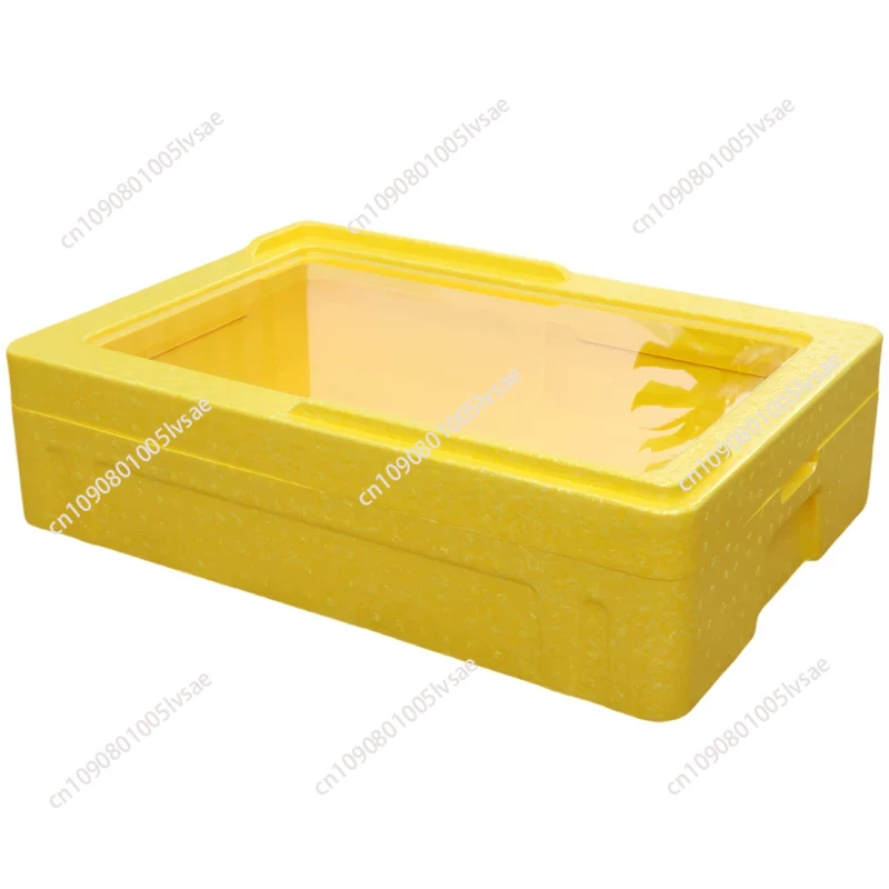 Contenitore Termico Isolato Ti - Food Storage In Cooler recensione e prezzo