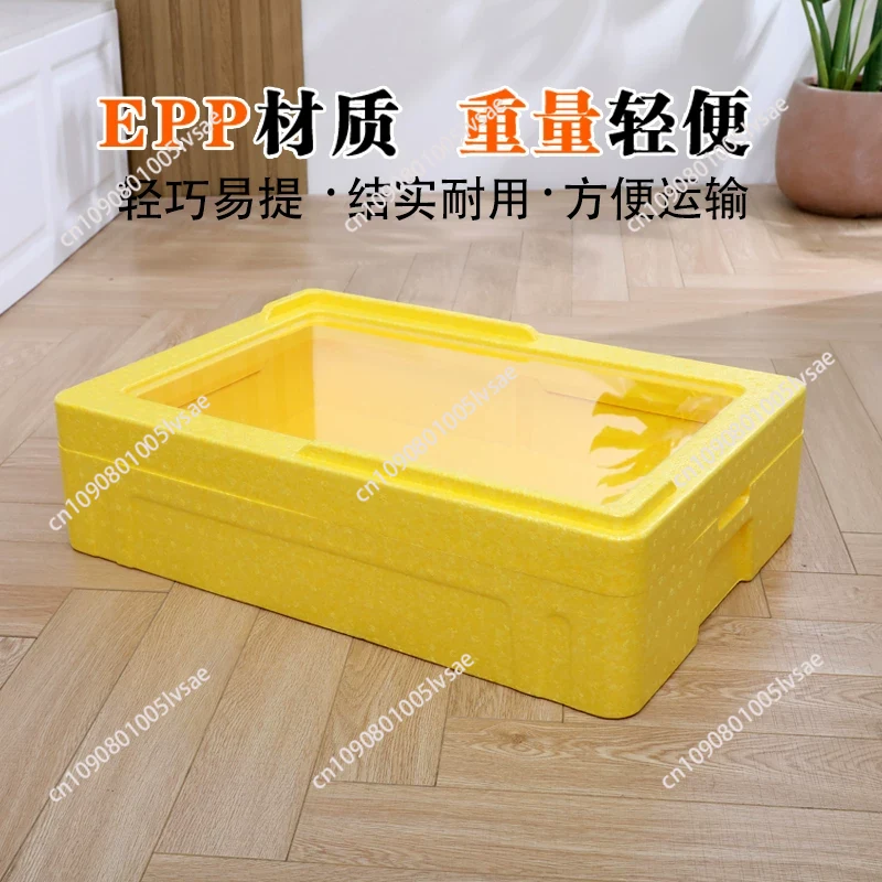 Contenitore Termico Isolato Ti - Food Storage In Cooler recensione e prezzo