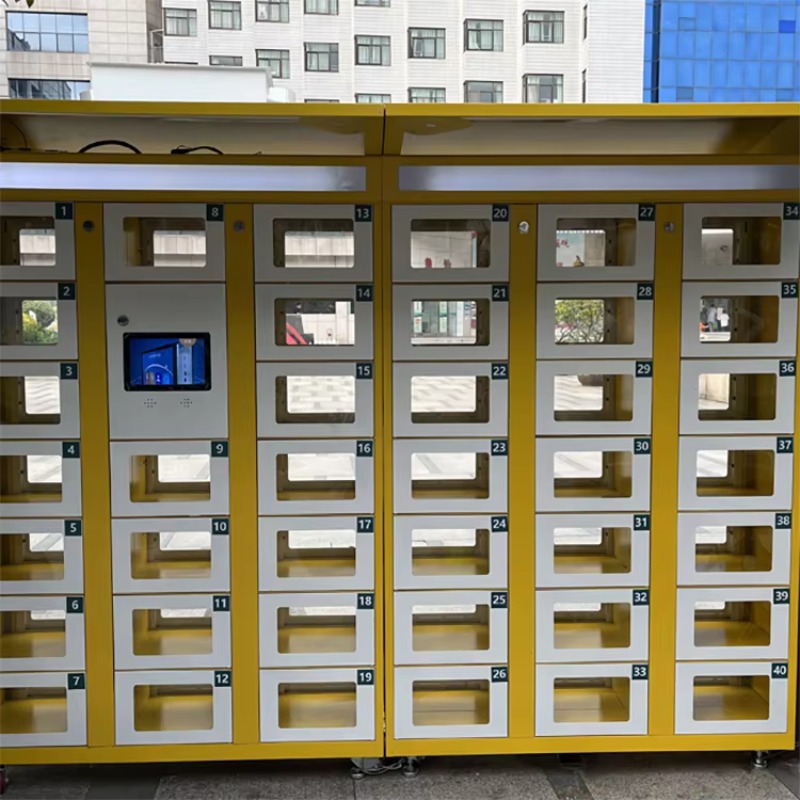 Armadietto Elettronico a Doppi - Food Storage In Cabinets recensione e prezzo